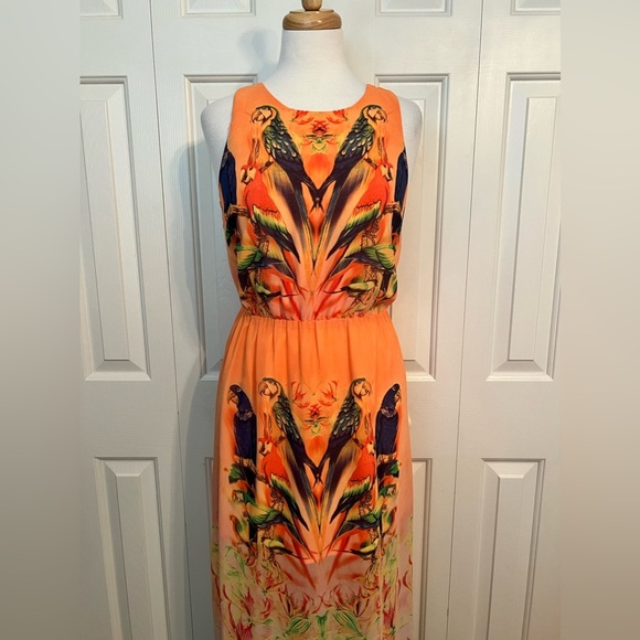 W118 by WALTER BAKER Tropical PARROT JUNGLE Maxi DRESS Size Small NWOT - Picture 2 of 6